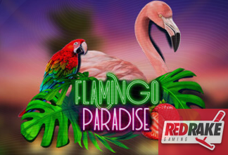 Flamingo Paradise